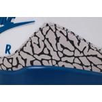 Кроссовки Air Jordan 3 'True Blue' 2026 10