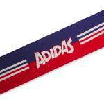 Шарфы Adidas x Brain Dead x Disney BD Scarf 'Better Scarlet/Victory Blue' 2