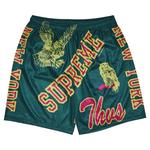 Шорты Supreme Varsity Mesh Short «Dark Green» 1