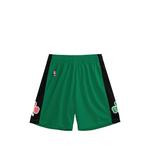 Шорты Boston Celtics Swingman из коллаборации с NBA (2007 год) 1