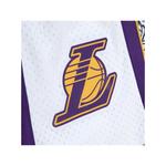 Шорты LA Lakers 2009 Doodle Swingman 2