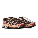 Кроссовки Salomon XT-6 'Roasted Clay' 8