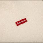 Шорты Supreme Small Box Sweatshort 'Natural' 3