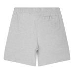 Шорты Stussy Jersey Short "Grey Heather" 2