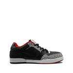 Кроссовки Paul Rodriguez 2 Zoom Air 1