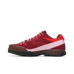 Кроссовки The Broken Arm x Salomon X-ALP GORE-TEX 'Biking Red' 3