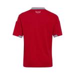 Джерси Adidas Wales 26 Home Jersey 'Better Scarlet' 2