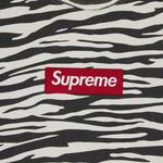 Свитшоты Supreme Box Logo Crewneck 'Zebra' 3
