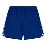 Шорты Gallery Dept. Venice Court Shorts 'Royal' 2