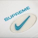 Шорты Supreme x Nike Jewel Sweatshort 'Белый' 2
