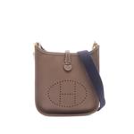 2021 Evelyn TPM mini shoulder bag 1