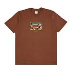 Футболки Supreme Strawberries Tee 'Brown' 1