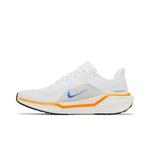 Кроссовки Nike Air Zoom Pegasus 41 'Blueprint Pack' 3