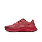 Кроссовки Nike Wmns Pegasus Trail 3 'Gypsy Rose' 3