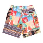 Шорты Billionaire Boys Club Shark Shorts «Blue/Pink/Mixed» 2