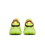 Кроссовки Nike Pegasus Trail 3 GTX «Dark Chocolate Volt» 6