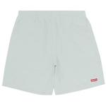 Плавки Supreme Nylon Water Short 'Pale Mint' 1