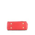 Surene Handbag Monogram Canvas with Leather BB shoulder bag 4