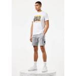 МУЖСКИЕ ШОРТЫ SMOKEY PINK SANDS PARACHUTE OVERLAY SHORT 3
