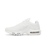 Кроссовки Nike Wmns Air Max Plus 'Полностью белый' 3
