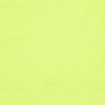 Шорты Advisory Board Crystals Mesh 'Neon Green' 3