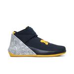 Кроссовки Air Jordan Why Not Zer0.1 'Michigan' 1