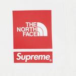 Шорты Supreme x The North Face Nylon Short 'Белый' 3