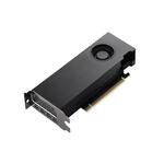 NVIDIA RTX Ampere A2000 12G (Ampere) 2