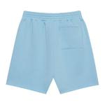 Шорты Sp5der OG Web Sweatshort «Sky Blue» 2