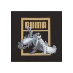 Футболка PUMA X MONSTER HUNTER WILDS 5