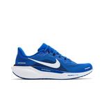 Кроссовки Nike Air Zoom Pegasus 41 'Duke' 1