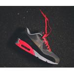 Кроссовки Nike Air Max 90 Premium 'Safari' 1