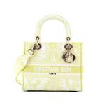 Сумка-сэтчел Lady D-Lite Bag Embroidered Canvas Medium 1