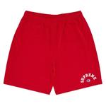 Шорты Supreme x Champion Mesh Short 'Red' 1