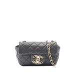 Сумка через плечо Mini Quilted Lambskin Precious Jewel Flap (2010-2011 годы) 1