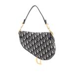 Saddle Handbag Oblique Canvas Medium shoulder bag 2
