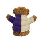 Плюшевые игрушки Supreme x The North Face Bear 'Tan/Purple' 2