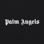 Футболки с коротким рукавом Palm Angels Logo Slim Tee 'Black' 3