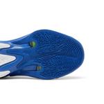 Кроссовки Nike Zoom Freak 4 TB 'Game Royal' 5