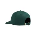 Головные уборы Aimé Leon Dore Core Logo Hat 'Зеленый' 2