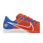 Кроссовки Nike Air Zoom Pegasus 38 'Florida' 2
