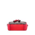 Saintonge Handbag Monogram Canvas with Leather crossbody bag 2