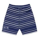 Шорты Palace Printed Stripe 'Navy' 2
