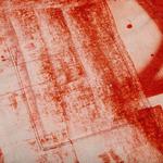 Рубашки на пуговицах Supreme x Christopher Wool Short-Sleeve Shirt 'Red' 3