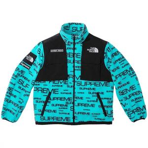 Флисовые куртки Supreme x The North Face Steep Tech Fleece Jacket «Teal»