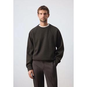 Свитшот Regular-Fit из щеточного трикотажа