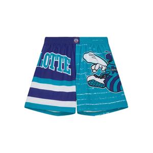 Шорты Charlotte Hornets Jumbotron 3.0