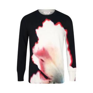 Свитеры Alexander McQueen Solarized Flower-Print Pullover Sweater 'Black/Red/Ivory/Blue'