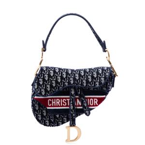 Сумка на плечо Oblique Embroidered Velvet Saddle Bag (2021 год)
