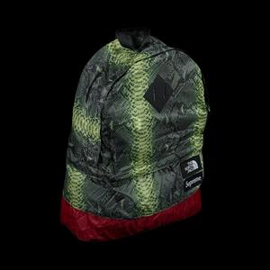 Рюкзаки Supreme x The North Face Snakeskin Light Weight Day Pack 'Green'